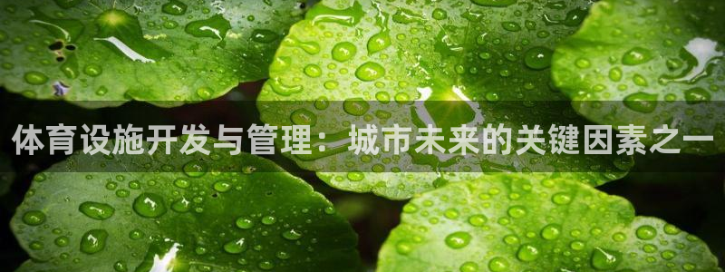 意昂体育4平台APP：体育设施开发与管理：城市未来的