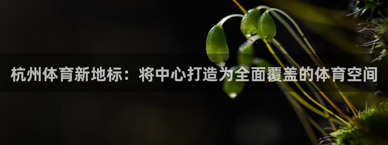 海南意昂体育4：杭州体育新地标：将中心打造为全面覆盖的体育空
