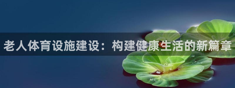 意昂体育4招商电话是多少号码：老人体育设施建设：构建健康生活