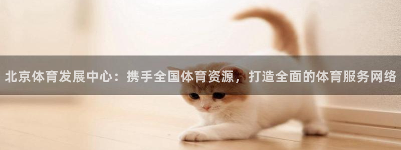 意昂4集团简介：北京体育发展中心：携手全国体育资源，