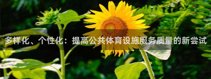 意昂体育4官方客服电话：多样化、个性化：提高公共体育设施服务