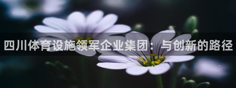 意昂4集团官网首页网址：四川体育设施领军企业集团：与创新的路